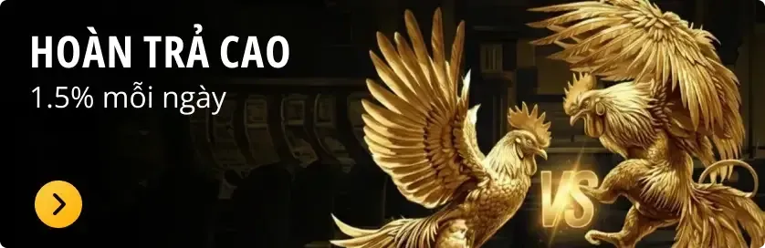 hoàn trả cao 11bet