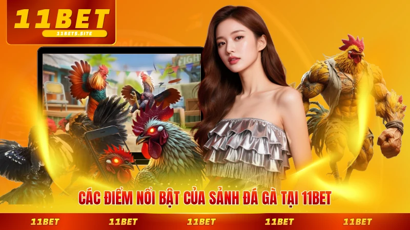 Các điểm nổi bật của sảnh đá gà tại 11BET đáng trải nghiệm