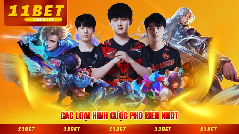Các loại hình cược phổ biến nhất cho người chơi