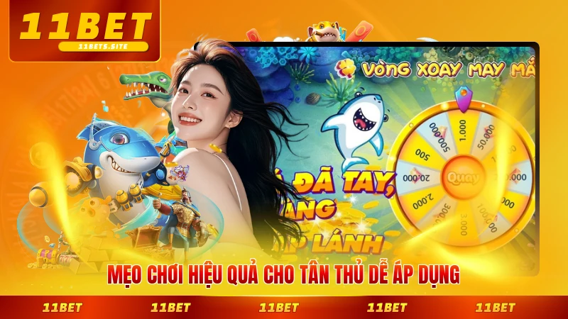 Mẹo chơi hiệu quả cho tân thủ dễ áp dụng