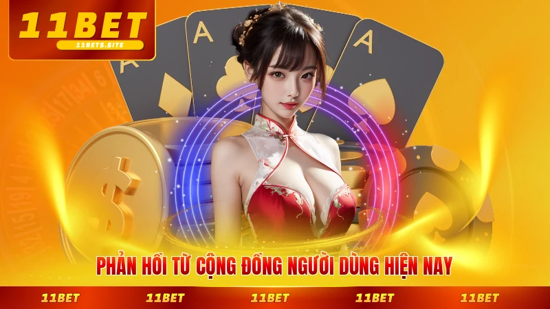 Phản hồi từ cộng đồng người dùng hiện nay
