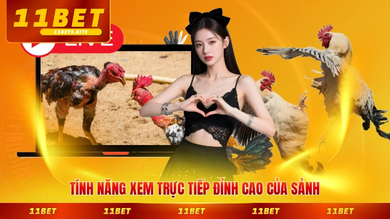 Tính năng xem trực tiếp đỉnh cao của sảnh