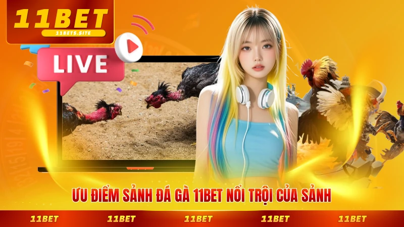 Ưu điểm sảnh đá gà 11BET nổi trội của sảnh